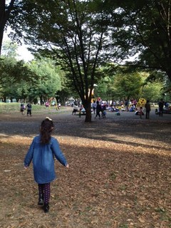 1410167.jpeg