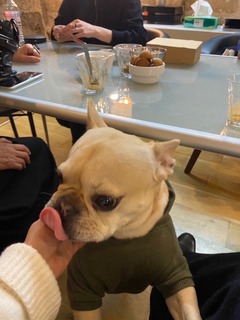 IMG_6495-ed0ad.jpeg