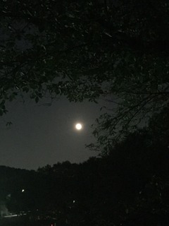 IMG_6640.JPG