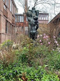 IMG_6644.jpeg