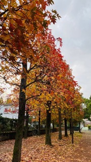 IMG_7669-0b8b5.jpeg